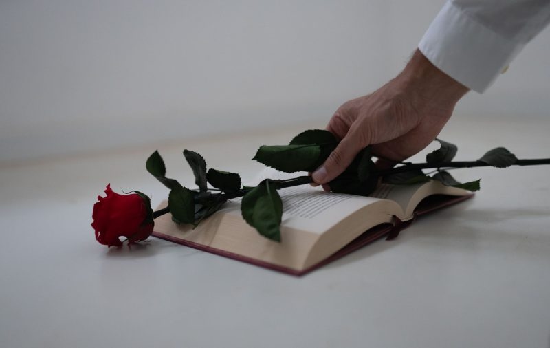 Sant Jordi Ünnep